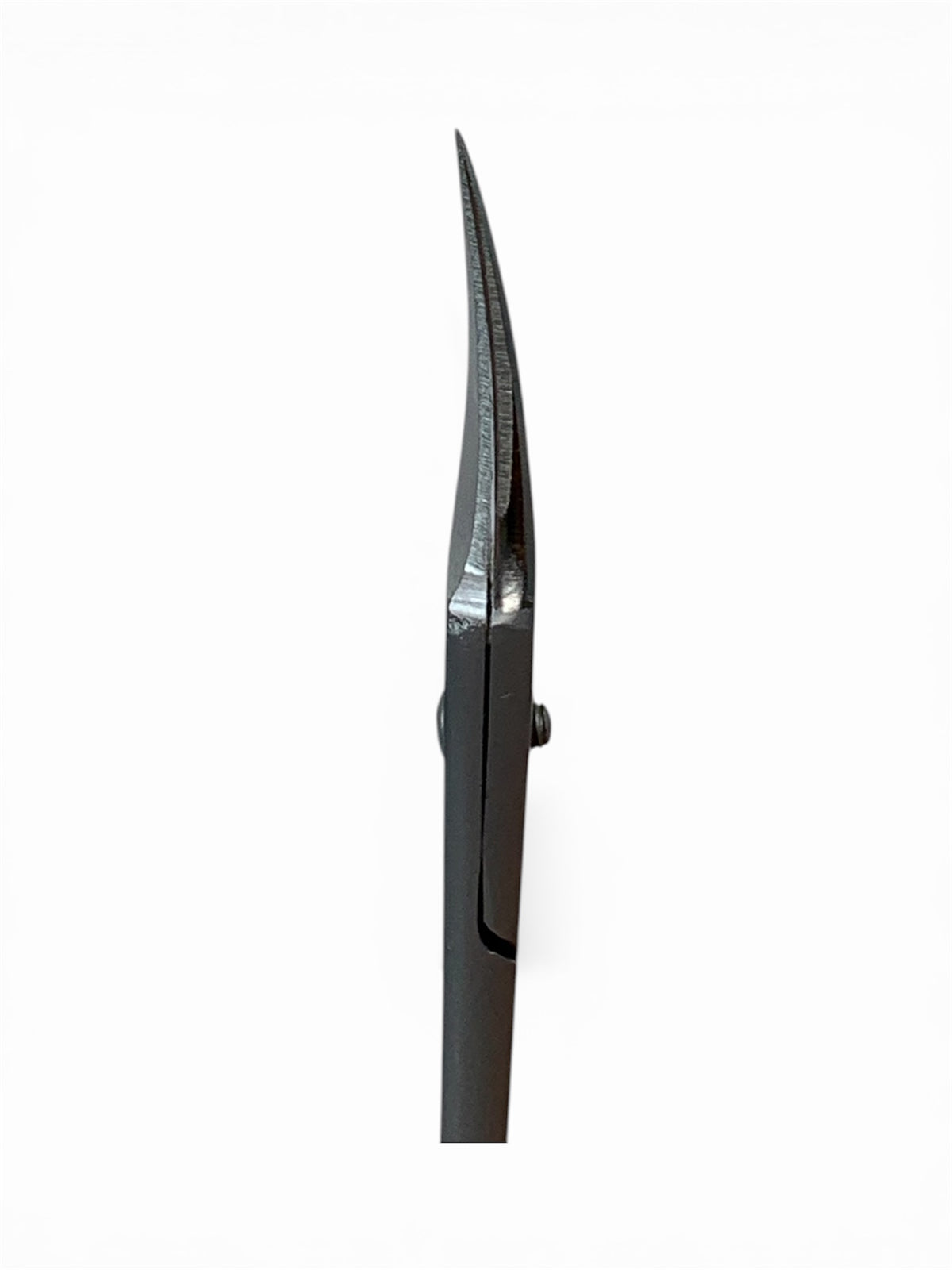 Tijeras Profesionales para Cutícula Expert S2 – Acero Inoxidable
50/1